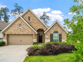 704 Fall Rock Branch Drive, Conroe TX 77304