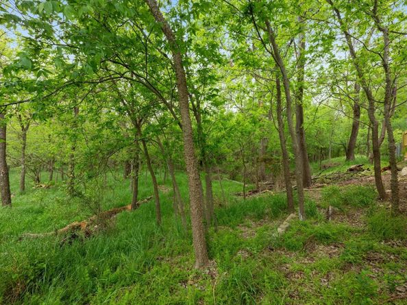 3005 Canter LN, Austin TX 78759