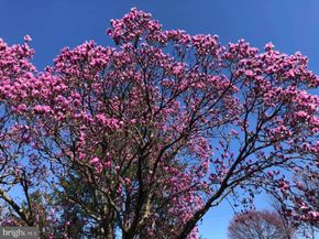 725 Springdell Road, King Of Prussia PA 19406