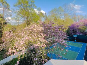 1289 Ballantrae Farm Drive, Mclean VA 22101