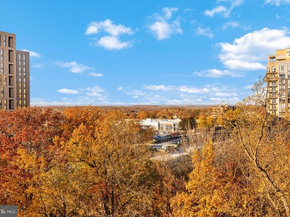 11776 Stratford House Place 907, Reston VA 20190