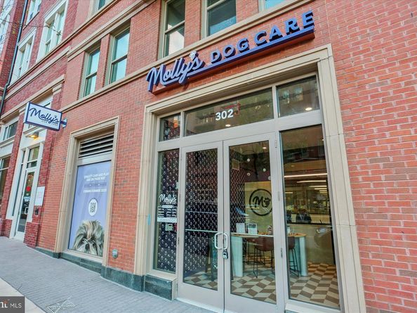 8101 Connecticut Avenue S307, Chevy Chase MD 20815