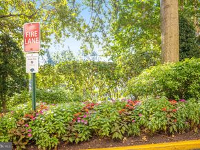 4141 Henderson Road 303, Arlington VA 22203