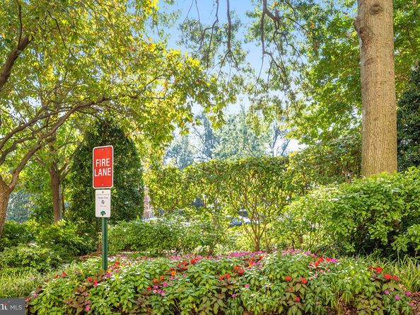 4141 Henderson Road 303, Arlington VA 22203