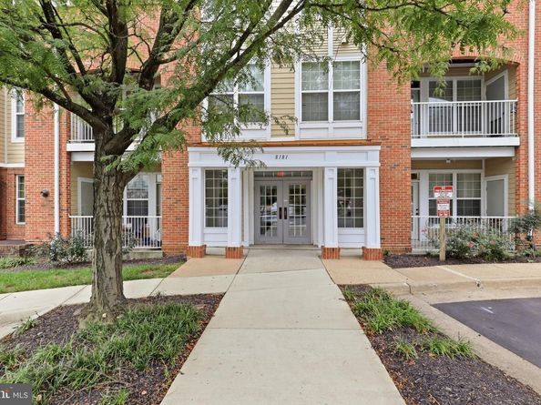 8181 Carnegie Hall Court 203, Vienna VA 22180