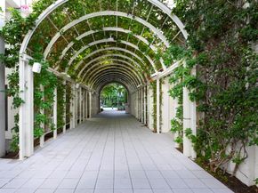 550 Okeechobee Boulevard 911, West Palm Beach FL 33401