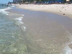 1439 S Ocean Blvd 215, Pompano Beach FL 33062