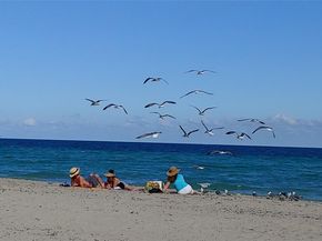 777 N Ocean Dr S303, Hollywood FL 33019