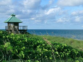 550 SE Mizner Boulevard B906, Boca Raton FL 33432