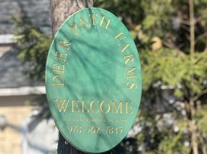 17 Wildflower Path 17, Hudson MA 01749