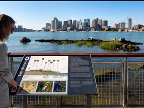 65 Lewis St 511, Boston MA 02128