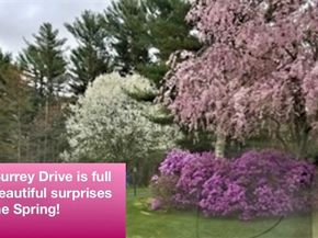 12 Surrey Dr, Lakeville MA 02347