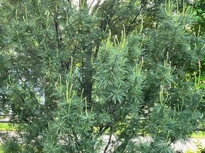 1 Baker Ave, Concord MA 01742