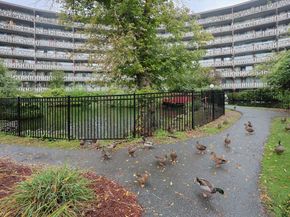200 Swanton St 538, Winchester MA 01890