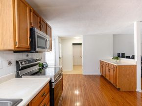 54 Michael 33, Bridgewater MA 02324