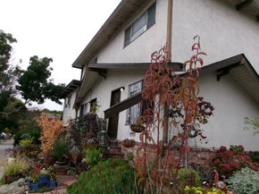 5963 Maccall, Oakland CA 94609