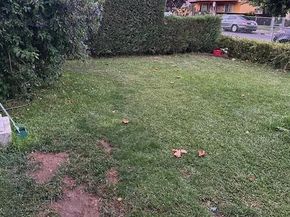 369 Doris Avenue, San Jose CA 95127