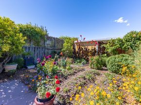 473 Chestnut Avenue, San Bruno CA 94066