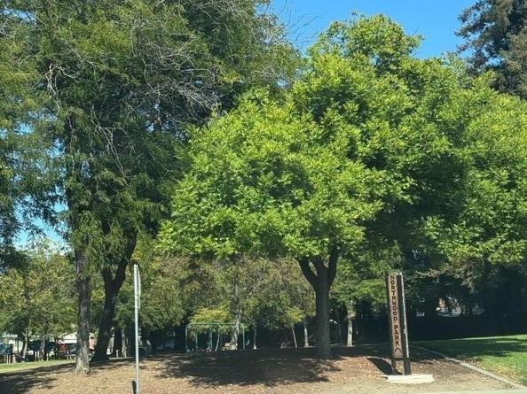 2625 Autumnvale Drive, San Jose CA 95132