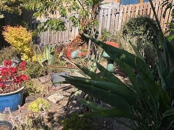 427 Washington Avenue, Richmond CA 94801