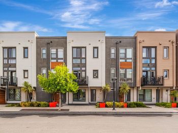 39158 Declaration Street