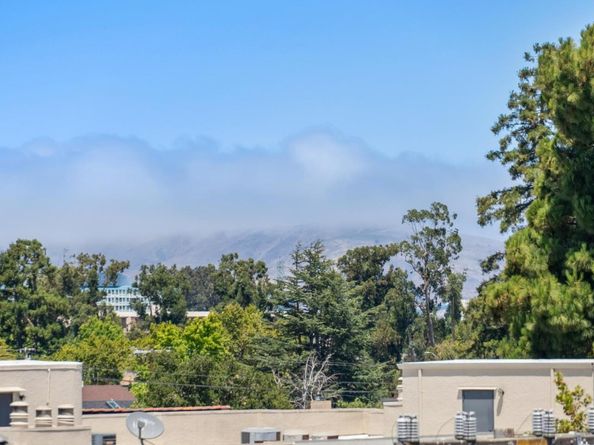 1433 Floribunda Avenue 2, Burlingame CA 94010