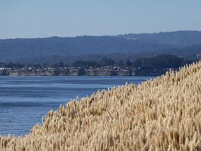 117 Seascape Resort Drive, Aptos CA 95003