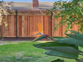 4733 Jarvis Avenue, San Jose CA 95118