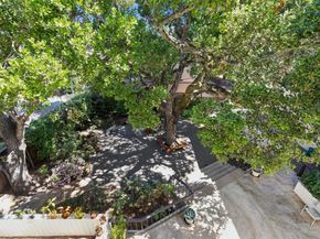225 Virginia Avenue 3D, San Mateo CA 94402