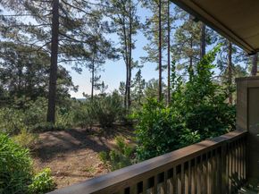 3323 La Mesa Drive 2, San Carlos CA 94070