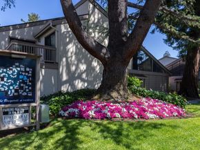 19113 Vineyard Lane, Saratoga CA 95070