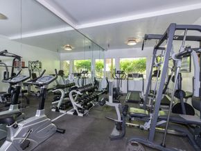 19113 Vineyard Lane, Saratoga CA 95070
