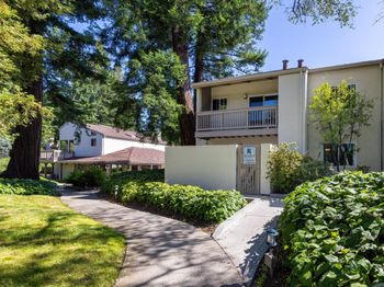 19113 Vineyard Lane