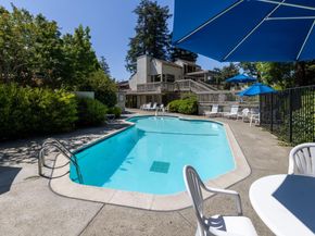 19113 Vineyard Lane, Saratoga CA 95070