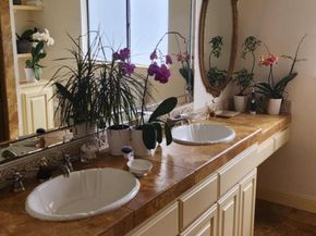 443 Burning Tree Court, Half Moon Bay CA 94019