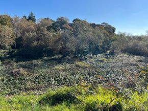 91 Alta Vista, Watsonville CA 95076