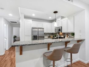 663 Modern Ice Drive, San Jose CA 95112