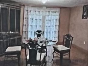 12625 NW 1st Ct, North Miami FL 33168