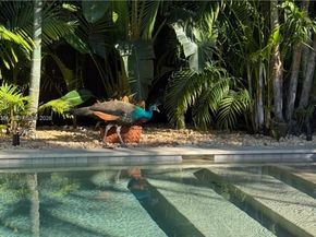 1737 SW 10th St, Miami FL 33135