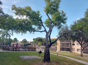 8415 SW 107th Ave 255W, Miami FL 33173