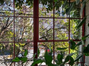 Undisclosed Address #426128147, San Francisco CA 94103