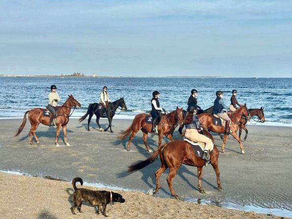 127 Paul Place, Fairfield CT 06824