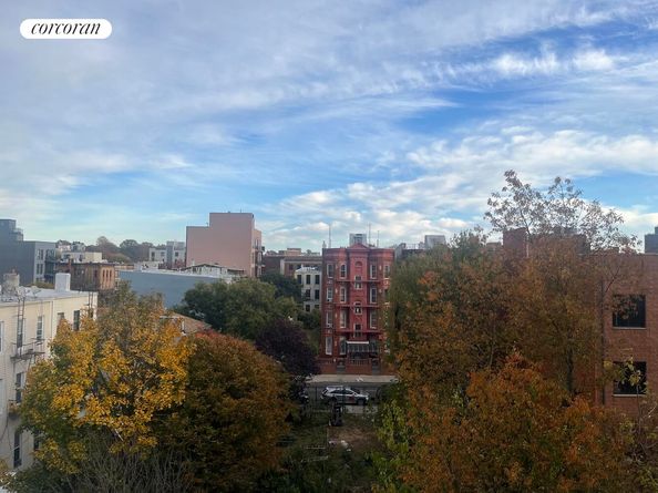 1008 Decatur Street 2A, Brooklyn NY 11207