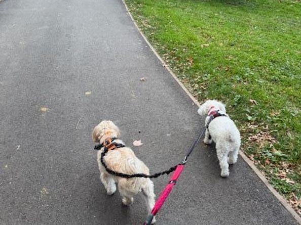 382 Central Park W 16U, New York NY 10025