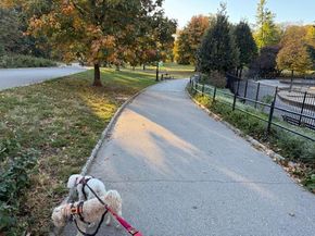 382 Central Park W 16U, New York NY 10025