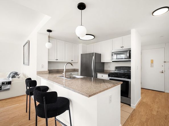 425 Main Street 4E, New York NY 10044
