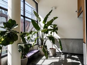 160 West Street PHC, Brooklyn NY 11222