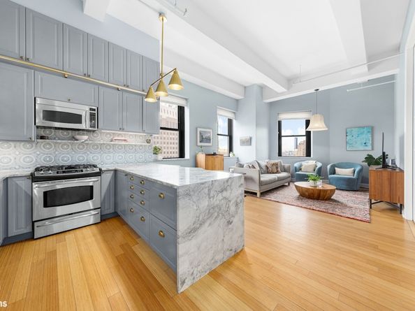365 Bridge Street 22C, Brooklyn NY 11201