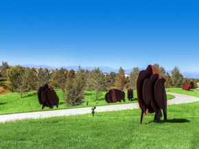 16571 Antero Circle, Broomfield CO 80023