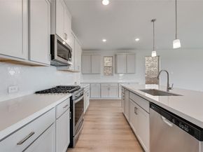 129  Ashbrook Street , Little Elm Texas 75068